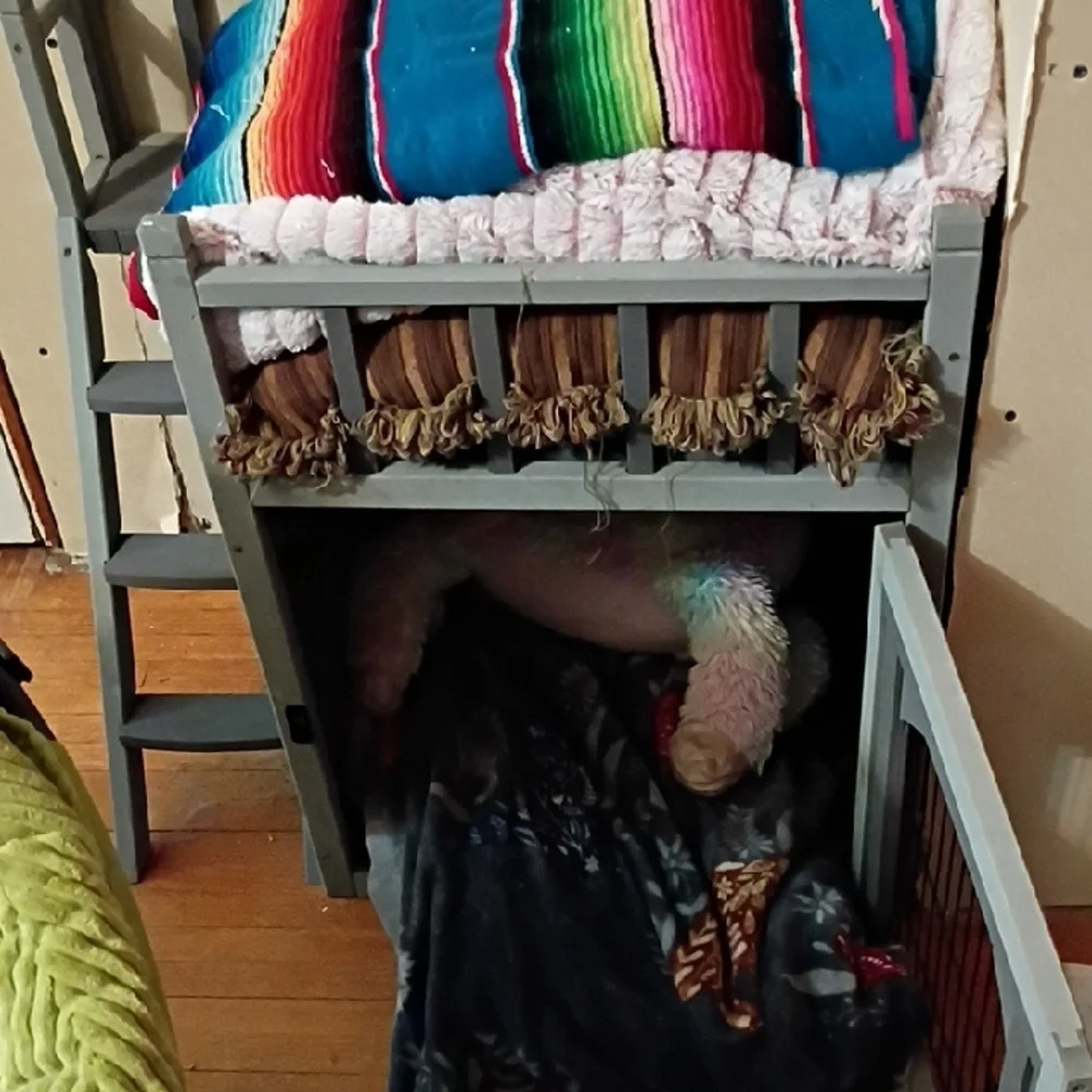 Gray Wooden Dog Crate with Ladder